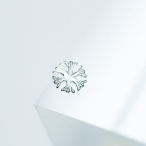 Copo de nieve rayado